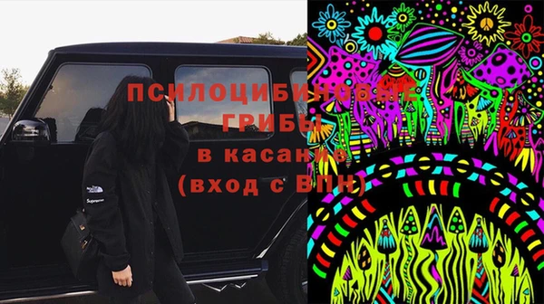 Альфа ПВП Елабуга