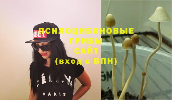 Альфа ПВП Елабуга