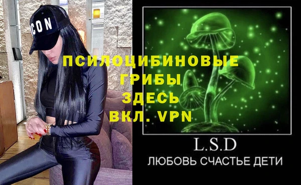 экстази Ельня